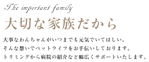 大切な家族だから